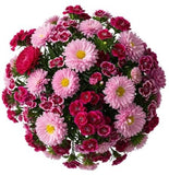 Pink Chinese Asters and Sweet Williams Bouquet - Flowers Box London
