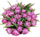 Pink Double Tulips Bouquet - Flowers Box London
