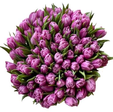 Pink Double Tulips Bouquet