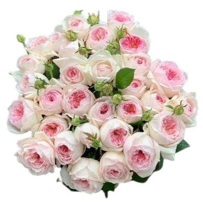 Rowena Roses Pink Garden Spray Rose Bouquet | Swift UK Delivery from Flowers Box ...