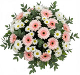Pink Gerberas with Daisy Chrysanthemum Bouquet - Flowers Box London
