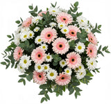 Pink Gerberas with Daisy Chrysanthemum Bouquet