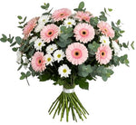 Pink Gerberas with Daisy Chrysanthemum Bouquet