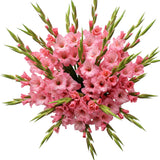 Pink Gladioli Bouquet - Flowers Box London