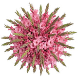 Pink Gladioli Bouquet - Flowers Box London