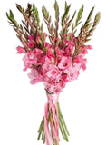 Pink Gladioli Bouquet - Flowers Box London