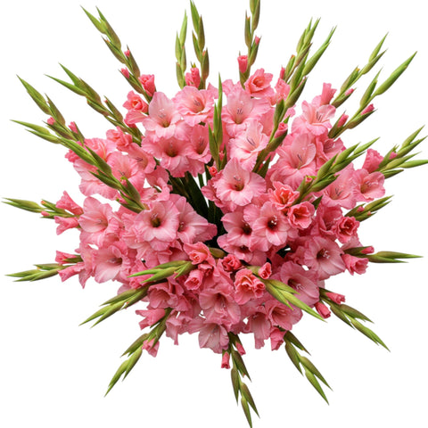 Pink Gladioli Bouquet