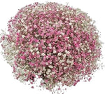 Pink Gypsophila Bouquet