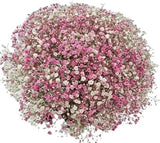 Pink Gypsophila Bouquet