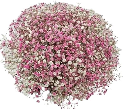 Pink Gypsophila Bouquet