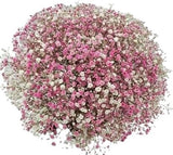 Pink Gypsophila Bouquet - Flowers Box London