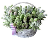 Pink Hyacinths and Lilac Basket - Flowers Box London