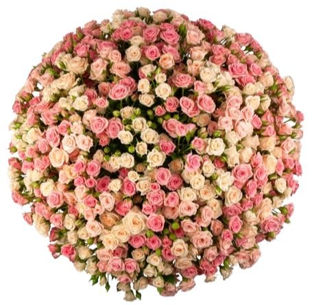 Pink & Ivory Spray Roses Bouquet - Flowers Box London