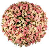 Pink & Ivory Spray Roses Bouquet