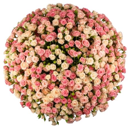 Pink & Ivory Spray Roses Bouquet