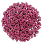 Pink Limonium Bouquet - Flowers Box London