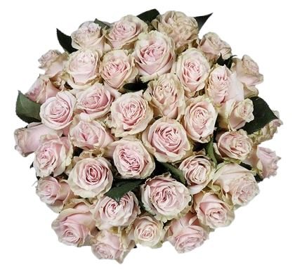 Pink Mondial Roses Bouquet - Flowers Box London