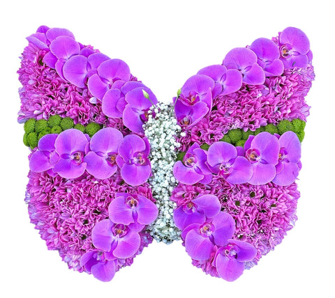 Pink Orchids Butterfly