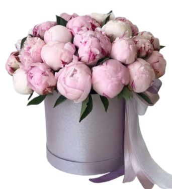 Pink Peonies Box