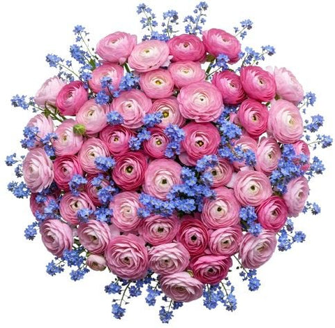 Pink Ranunculus with Blue Forget Me Not Bouquet - Flowers Box London