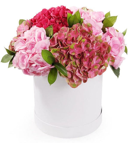 Pink Shades Hydrangea Box