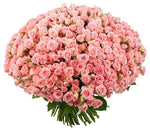 Pink Spray Roses Bouquet