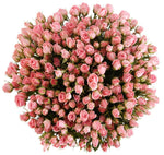 Pink Spray Roses Bouquet