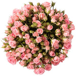 Pink Spray Roses Bouquet