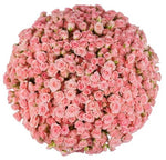 Pink Spray Roses Bouquet