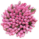 Pink Tulips Bouquet - Flowers Box London