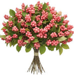 Pink Whisper Berry Dreams Bouquet