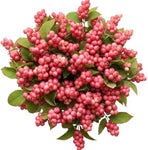 Pink Whisper Berry Dreams Bouquet