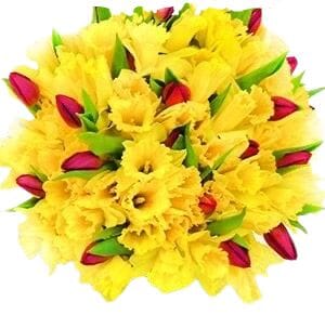 Pleasing Daffodils and Tulips Bouquet - Flowers Box London