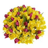 Pleasing Daffodils and Tulips Bouquet - Flowers Box London
