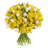 Pleasing Daffodils and Tulips Bouquet - Flowers Box London