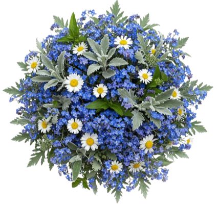 Pretty Blue and White Bouquet