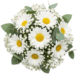 Pretty Bouquet of Daisies with Gypsophila and Eucalyptus - Flowers Box London