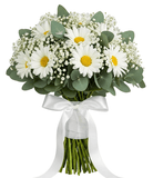 Pretty Bouquet of Daisies with Gypsophila and Eucalyptus - Flowers Box London