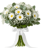Pretty Bouquet of Daisies with Gypsophila and Eucalyptus - Flowers Box London