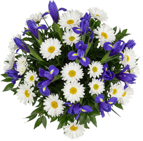 Pretty Bouquet of Daisy Leucanthemum and Iris