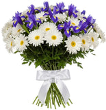 Pretty Bouquet of Daisy Leucanthemum and Iris - Flowers Box London