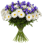 Pretty Bouquet of Daisy Leucanthemum and Iris - Flowers Box London