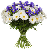 Pretty Bouquet of Daisy Leucanthemum and Iris - Flowers Box London
