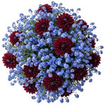 Pretty Bouquet of Forget Me Not and Dahlia