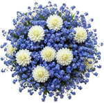 Pretty Bouquet of Forget Me Not and Dahlia - Flowers Box London