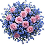 Pretty Bouquet of Forget Me Not and Dahlia