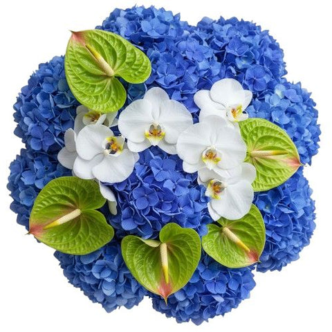 Pretty Bouquet of Hydrangea and Anthurium with Orchids