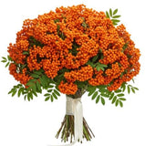 Pretty Bouquet of Orange Berries - Flowers Box London
