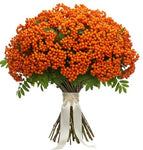 Pretty Bouquet of Orange Rowan Berries