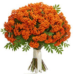 Pretty Bouquet of Orange Rowan Berries